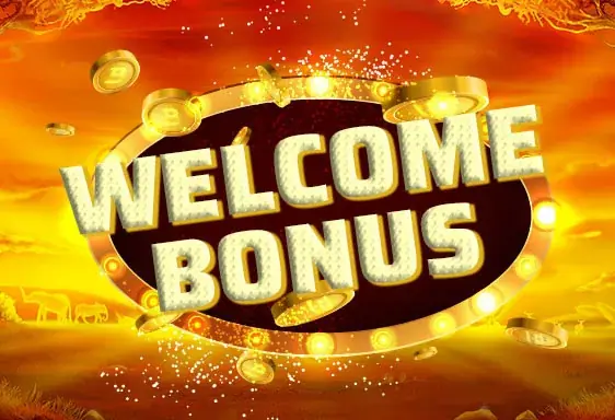 Voodoo Wins welcome bonus